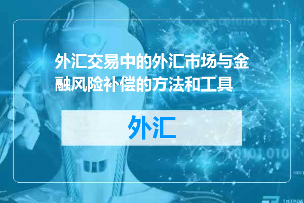 外汇交易中的外汇市场与金融风险补偿的方法和工具