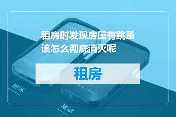 租房时发现房屋有跳蚤该怎么彻底消灭呢