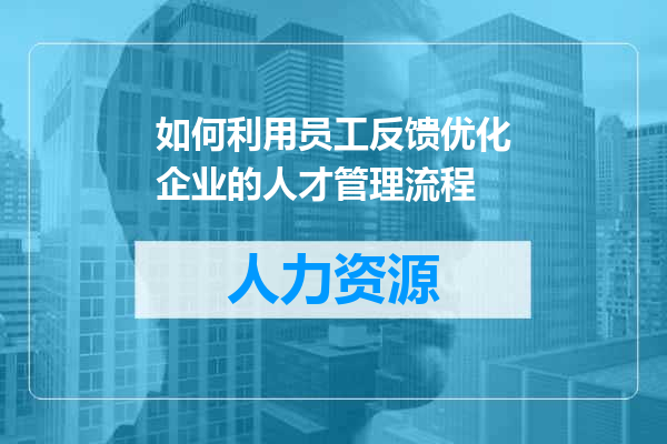 如何利用员工反馈优化企业的人才管理流程