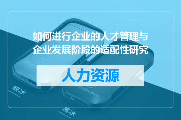 如何进行企业的人才管理与企业发展阶段的适配性研究