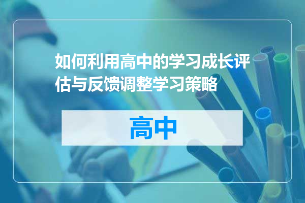 如何利用高中的学习成长评估与反馈调整学习策略