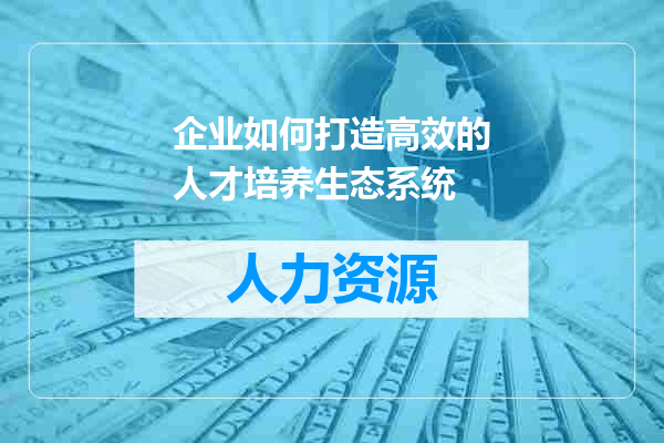 企业如何打造高效的人才培养生态系统