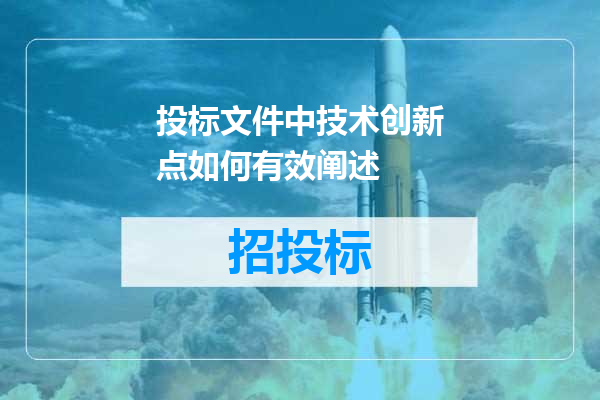 投标文件中技术创新点如何有效阐述