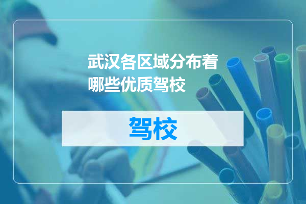 武汉各区域分布着哪些优质驾校
