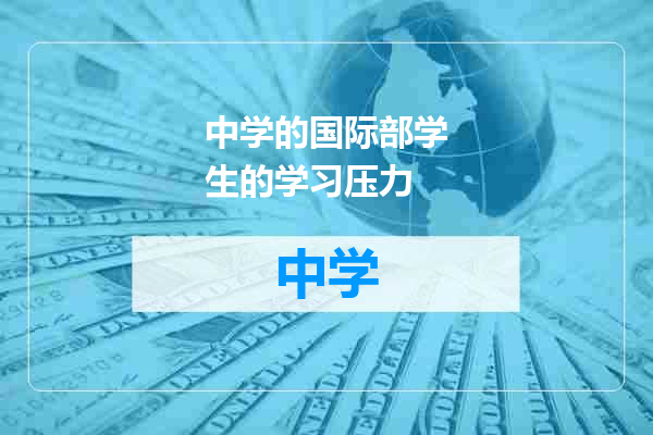 中学的国际部学生的学习压力