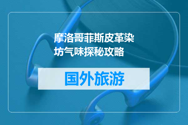摩洛哥菲斯皮革染坊气味探秘攻略