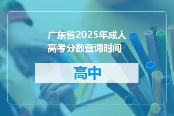 广东省2025年成人高考分数查询时间