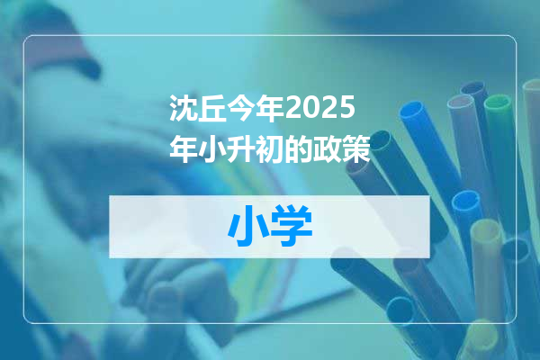 沈丘今年2025年小升初的政策