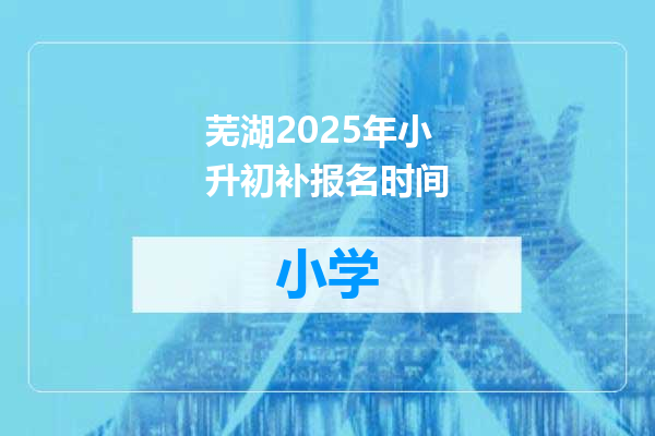 芜湖2025年小升初补报名时间