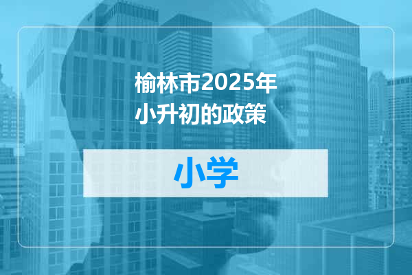 榆林市2025年小升初的政策