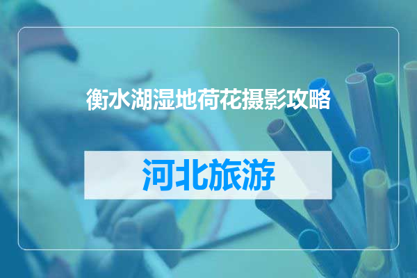 衡水湖湿地荷花摄影攻略