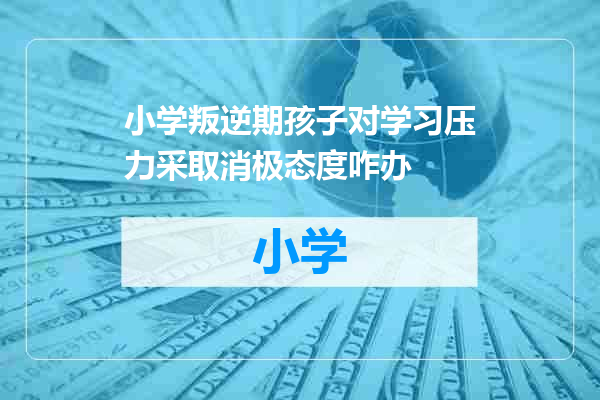 小学叛逆期孩子对学习压力采取消极态度咋办