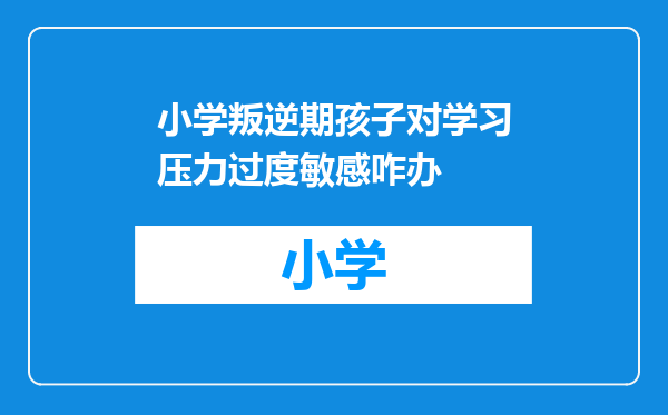 小学叛逆期孩子对学习压力过度敏感咋办