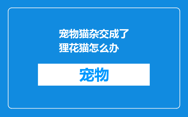 宠物猫杂交成了狸花猫怎么办