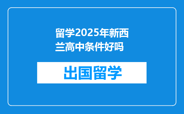 留学2025年新西兰高中条件好吗