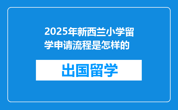 2025年新西兰小学留学申请流程是怎样的