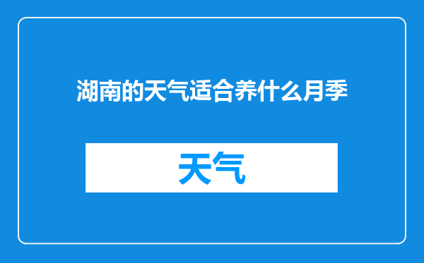 湖南的天气适合养什么月季
