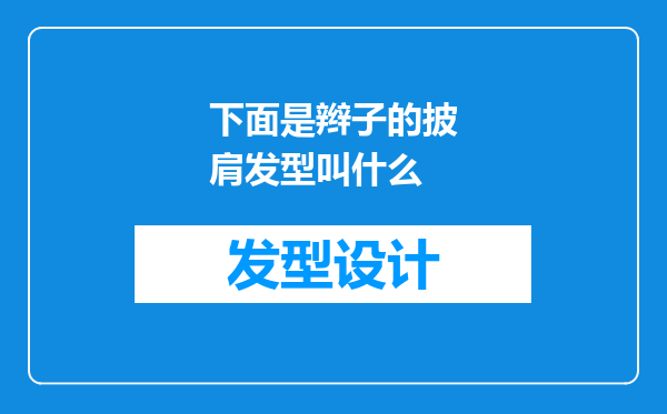 下面是辫子的披肩发型叫什么