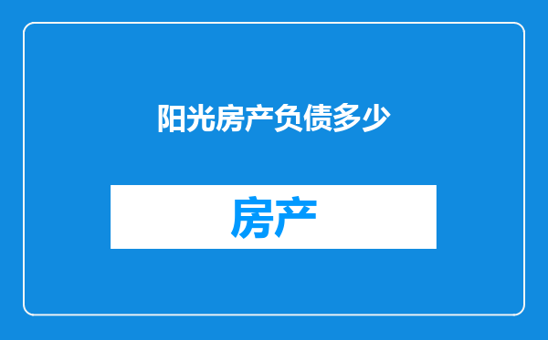 阳光房产负债多少