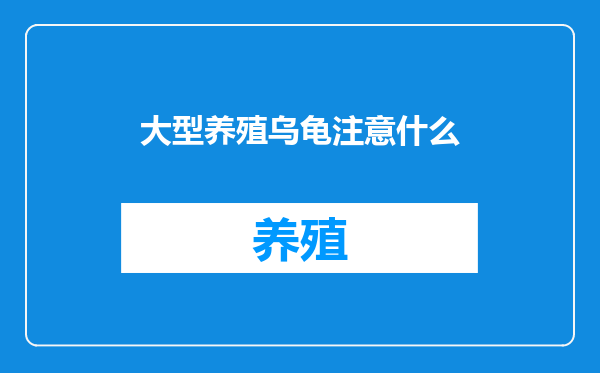 大型养殖乌龟注意什么