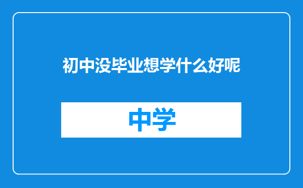 初中没毕业想学什么好呢