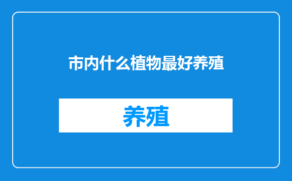 市内什么植物最好养殖