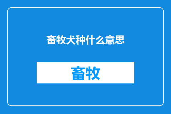 畜牧犬种什么意思