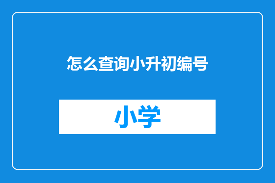 怎么查询小升初编号