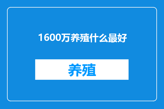 1600万养殖什么最好