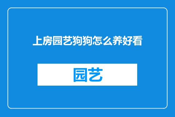 上房园艺狗狗怎么养好看