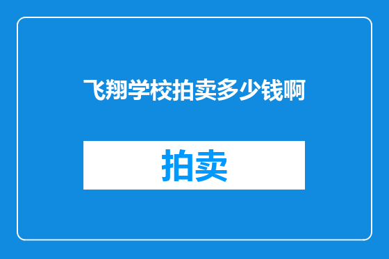 飞翔学校拍卖多少钱啊
