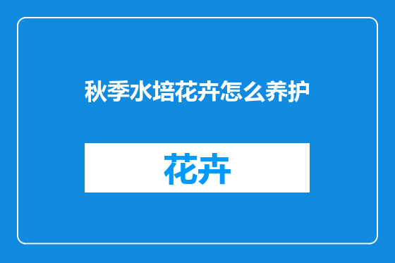 秋季水培花卉怎么养护