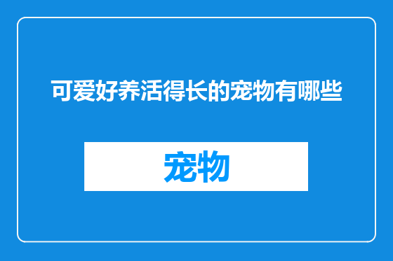 可爱好养活得长的宠物有哪些