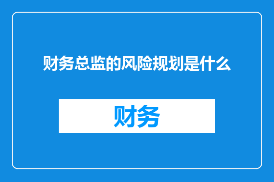 财务总监的风险规划是什么