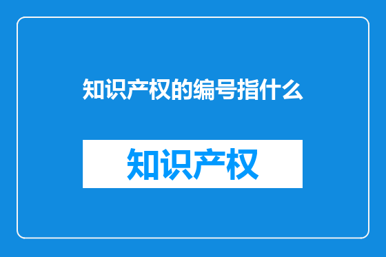 知识产权的编号指什么