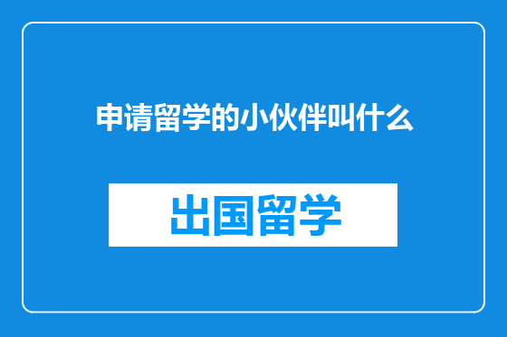 申请留学的小伙伴叫什么