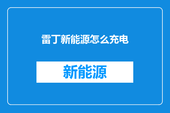 雷丁新能源怎么充电