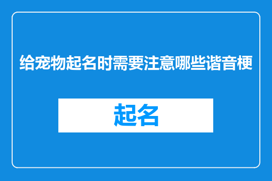 给宠物起名时需要注意哪些谐音梗