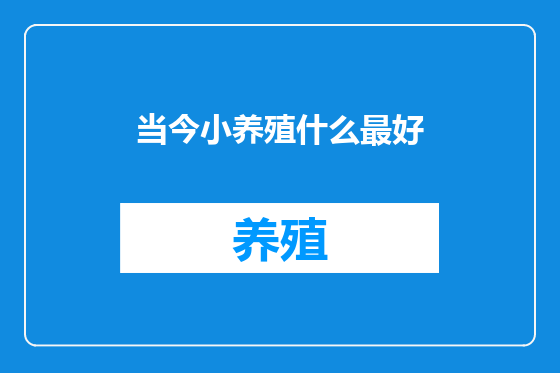 当今小养殖什么最好
