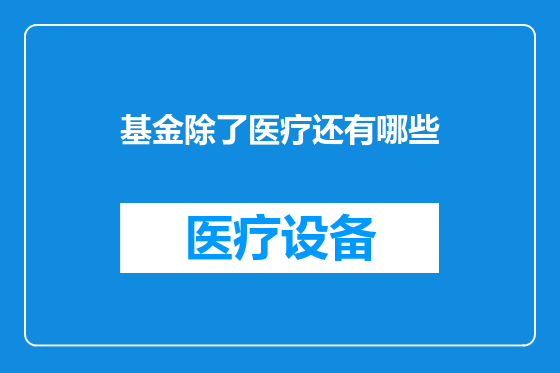 基金除了医疗还有哪些