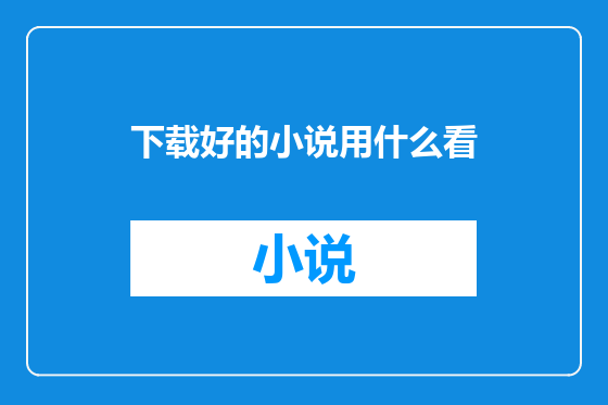 下载好的小说用什么看