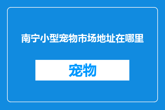 南宁小型宠物市场地址在哪里