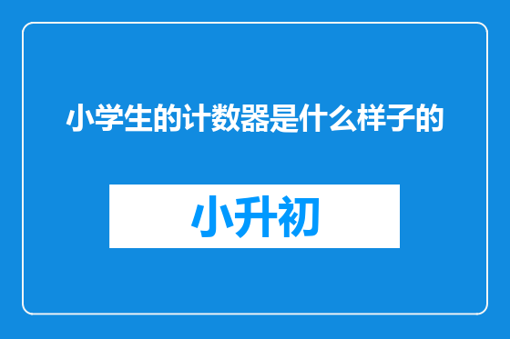 小学生的计数器是什么样子的