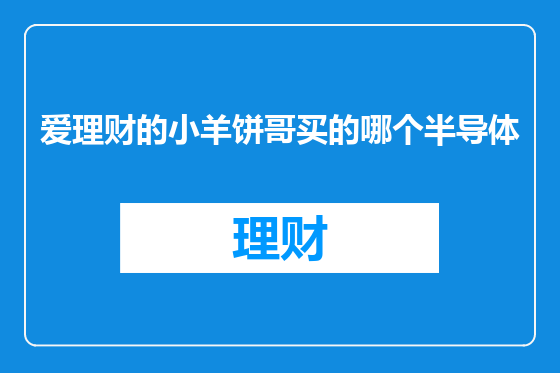 爱理财的小羊饼哥买的哪个半导体