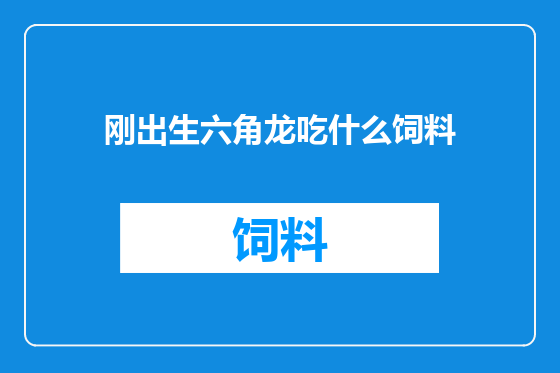 刚出生六角龙吃什么饲料