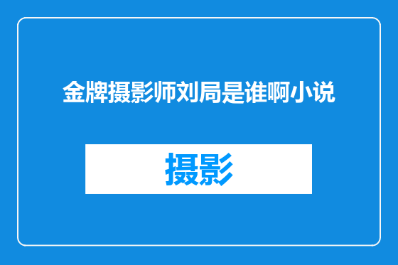 金牌摄影师刘局是谁啊小说