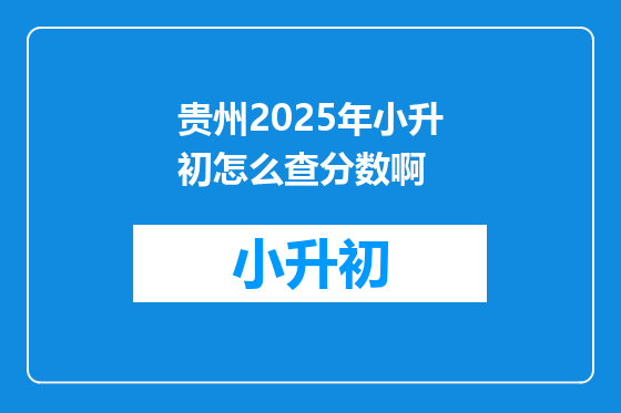 贵州2025年小升初怎么查分数啊