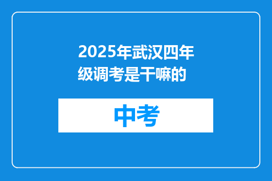 2025年武汉四年级调考是干嘛的