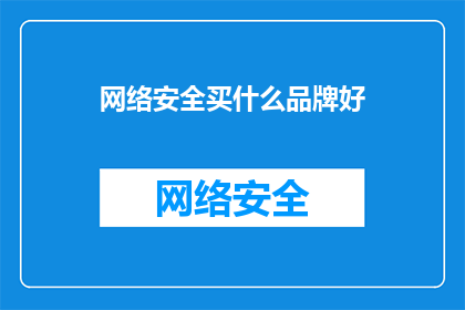 网络安全买什么品牌好