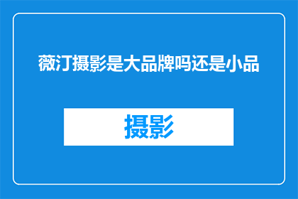 薇汀摄影是大品牌吗还是小品